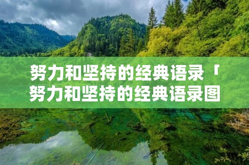 努力和坚持的经典语录「努力和坚持的经典语录图片」