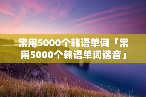 常用5000个韩语单词「常用5000个韩语单词谐音」