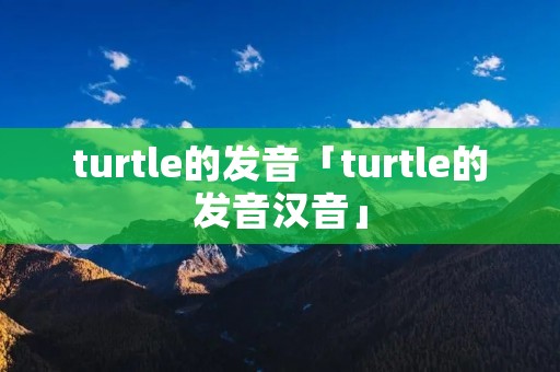 turtle的发音「turtle的发音汉音」