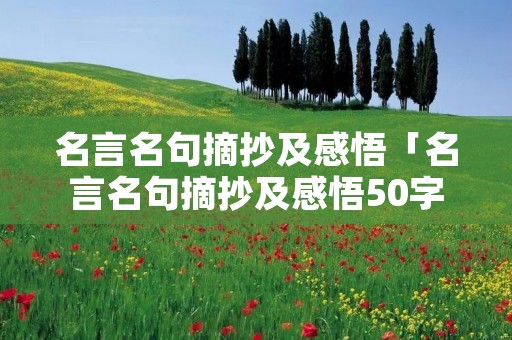 名言名句摘抄及感悟「名言名句摘抄及感悟50字」