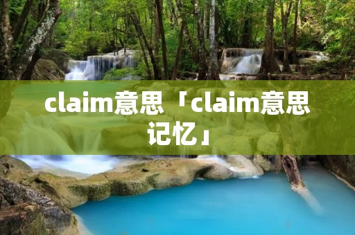 claim意思「claim意思记忆」