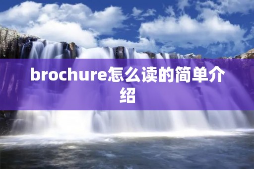 brochure怎么读的简单介绍