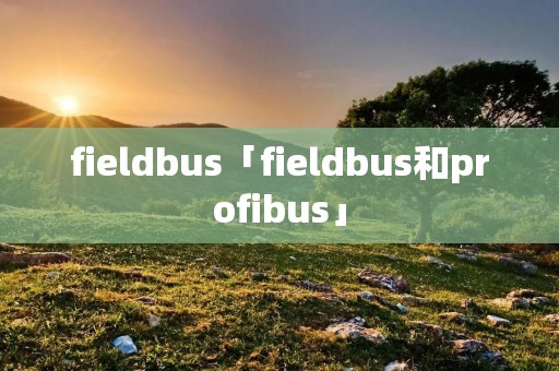 fieldbus「fieldbus和profibus」