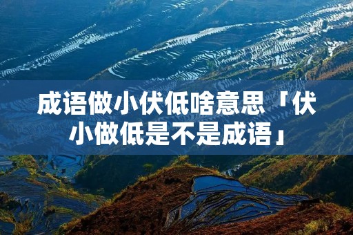 成语做小伏低啥意思「伏小做低是不是成语」