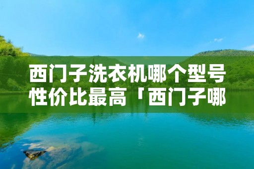 西门子洗衣机哪个型号性价比最高「西门子哪个型号的洗衣机好」