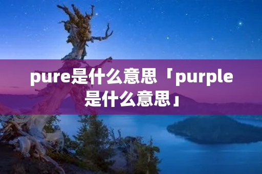 pure是什么意思「purple是什么意思」