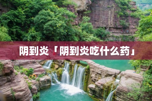 阴到炎「阴到炎吃什么药」