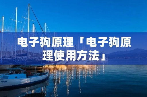 电子狗原理「电子狗原理使用方法」