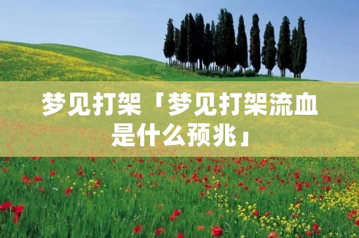 梦见打架「梦见打架流血是什么预兆」