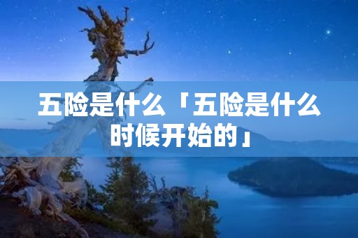 五险是什么「五险是什么时候开始的」