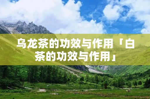 乌龙茶的功效与作用「白茶的功效与作用」