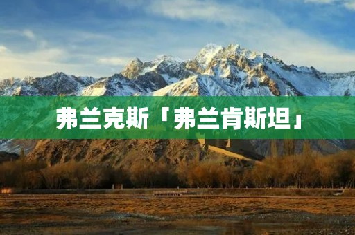 弗兰克斯「弗兰肯斯坦」 弗兰克斯「弗兰肯斯坦」