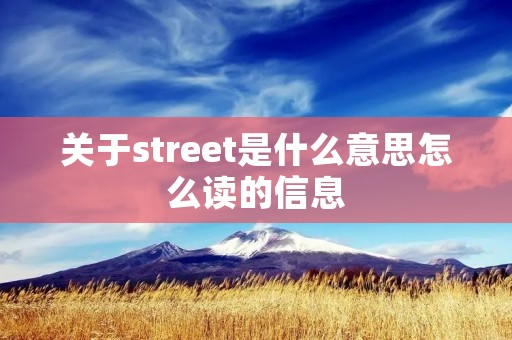 关于street是什么意思怎么读的信息
