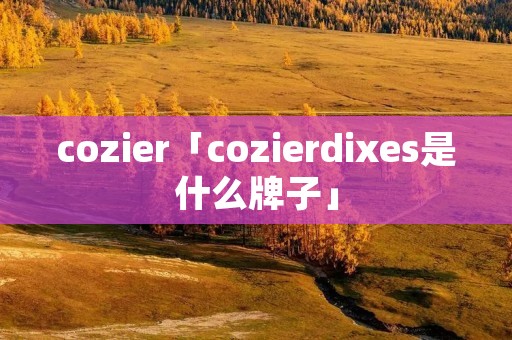 cozier「cozierdixes是什么牌子」