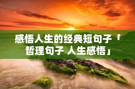 感悟人生的经典短句子「哲理句子 人生感悟」