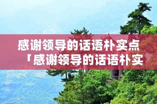 感谢领导的话语朴实点「感谢领导的话语朴实点 领导离开」