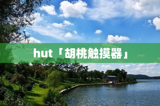 hut「胡桃触摸器」