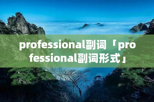 professional副词「professional副词形式」