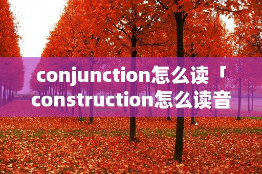 conjunction怎么读「construction怎么读音」