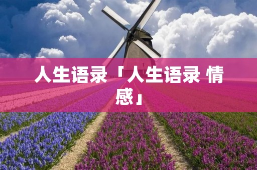 人生语录「人生语录 情感」
