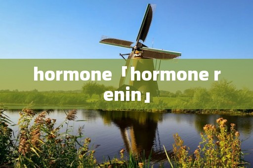 hormone「hormone renin」