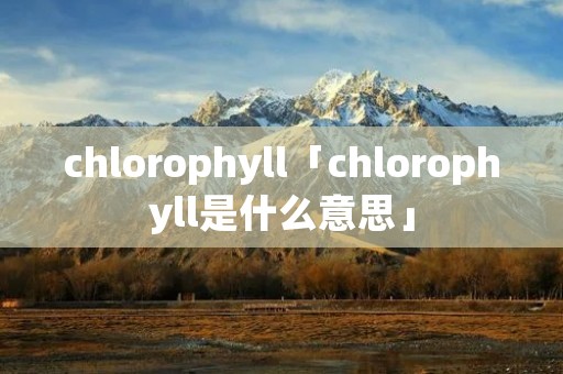 chlorophyll「chlorophyll是什么意思」 chlorophyll「chlorophyll是什么意思」
