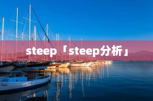 steep「steep分析」