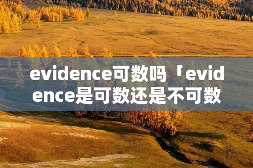 evidence可数吗「evidence是可数还是不可数」