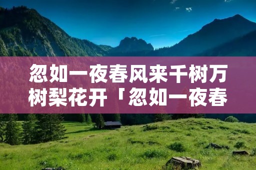 忽如一夜春风来千树万树梨花开「忽如一夜春风来千树万树梨花开描写的是什么景色」