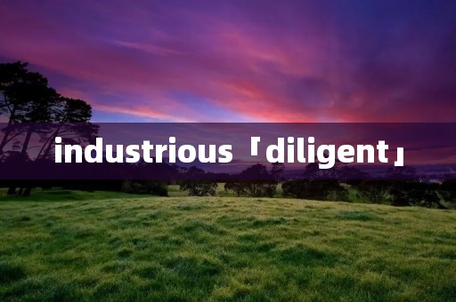 industrious「diligent」