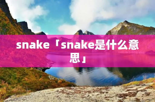snake「snake是什么意思」