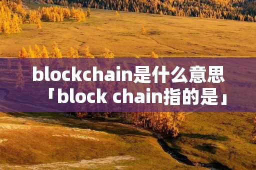 blockchain是什么意思「block chain指的是」
