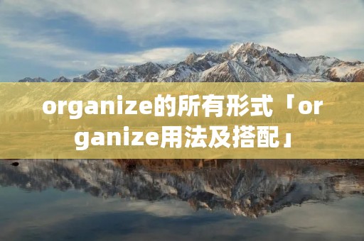 organize的所有形式「organize用法及搭配」