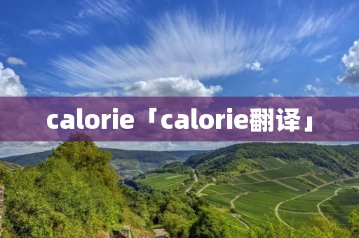 calorie「calorie翻译」