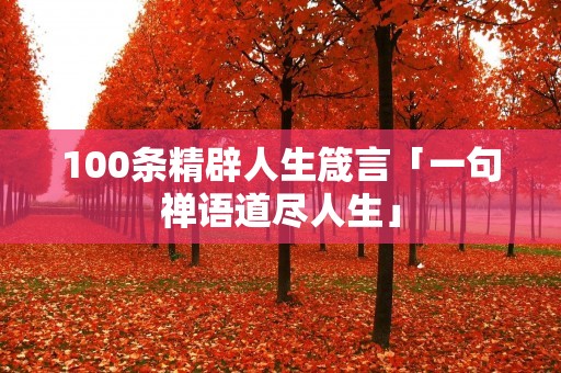 100条精辟人生箴言「一句禅语道尽人生」