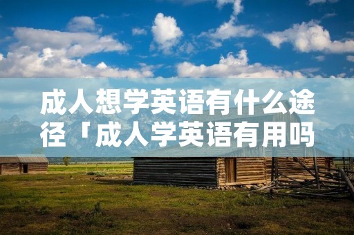 成人想学英语有什么途径「成人学英语有用吗」