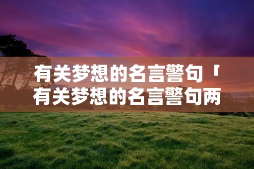 有关梦想的名言警句「有关梦想的名言警句两条」