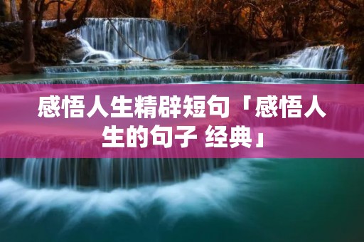 感悟人生精辟短句「感悟人生的句子 经典」