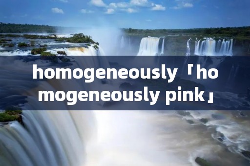 homogeneously「homogeneously pink」