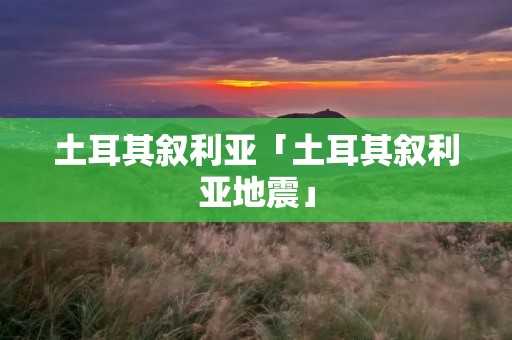 土耳其叙利亚「土耳其叙利亚地震」 土耳其叙利亚「土耳其叙利亚地震」