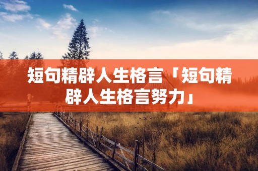 短句精辟人生格言「短句精辟人生格言努力」