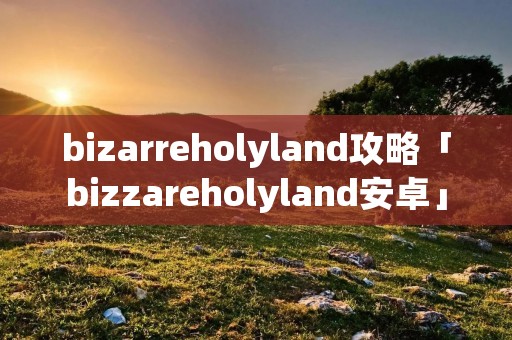 bizarreholyland攻略「bizzareholyland安卓」