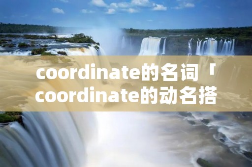 coordinate的名词「coordinate的动名搭配」