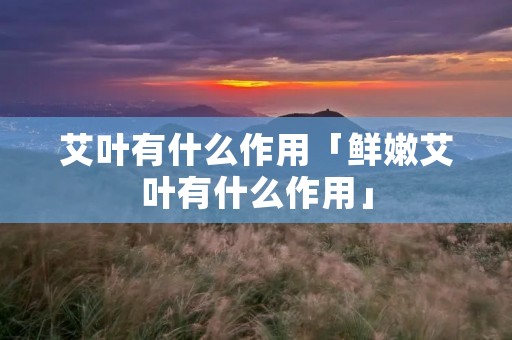 艾叶有什么作用「鲜嫩艾叶有什么作用」
