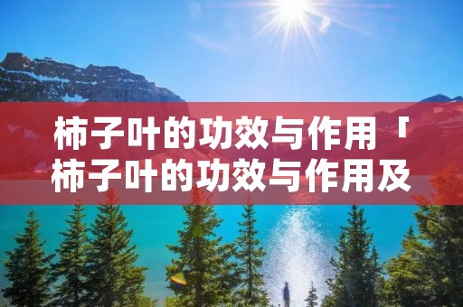 柿子叶的功效与作用「柿子叶的功效与作用及副作用」