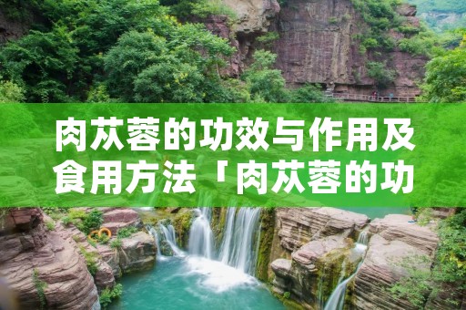 肉苁蓉的功效与作用及食用方法「肉苁蓉的功效和作用及禁忌症」