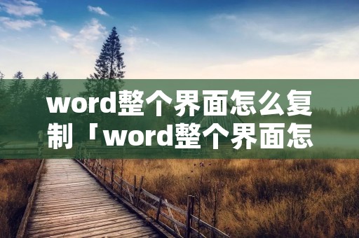 word整个界面怎么复制「word整个界面怎么复制一页」