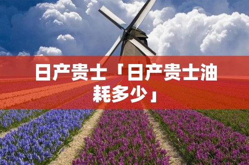 日产贵士「日产贵士油耗多少」