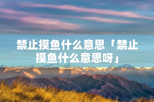 禁止摸鱼什么意思「禁止摸鱼什么意思呀」
