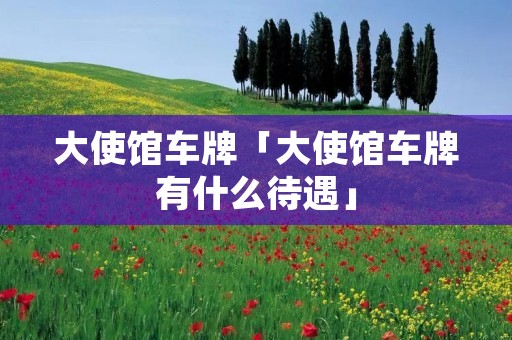 大使馆车牌「大使馆车牌有什么待遇」